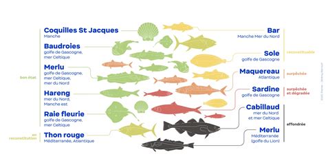 Bilan En France Hexagonale La Moiti Des Volumes De Poissons