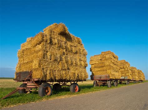 Side View Of A Hay Hauling Truck On Scales Stock Photo Image Of