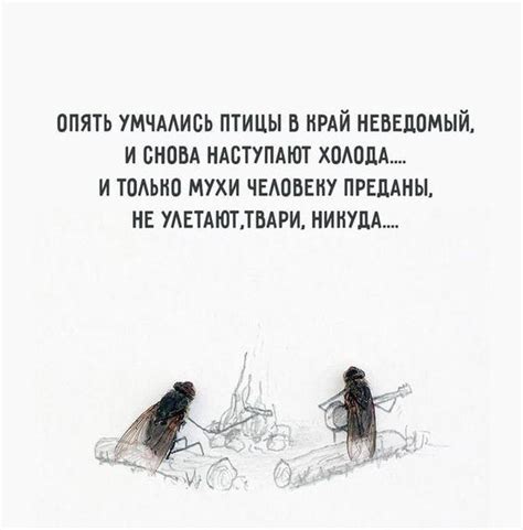 Самые ржачные мемы-картинки