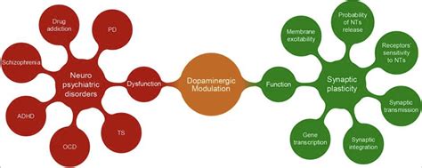 Neuroscience Behind Icf Core Competency The Academies