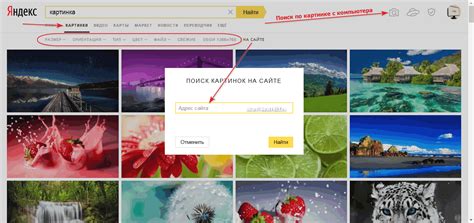 Поиск картинок в Интернете