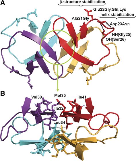 Crystal Structure of the Amyloid β p3 Fragment Provides a Model for