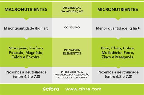 Qual A Diferen A Entre Macronutrientes E Micronutrientes