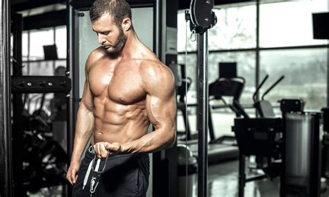 The best transverse abdominis exercises - The Manual