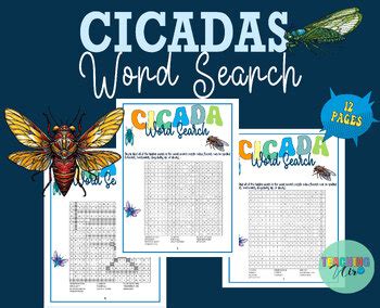 Cicada Emergence 2024 Word Search Puzzle Cicadas Cicadageddon Bug No Prep