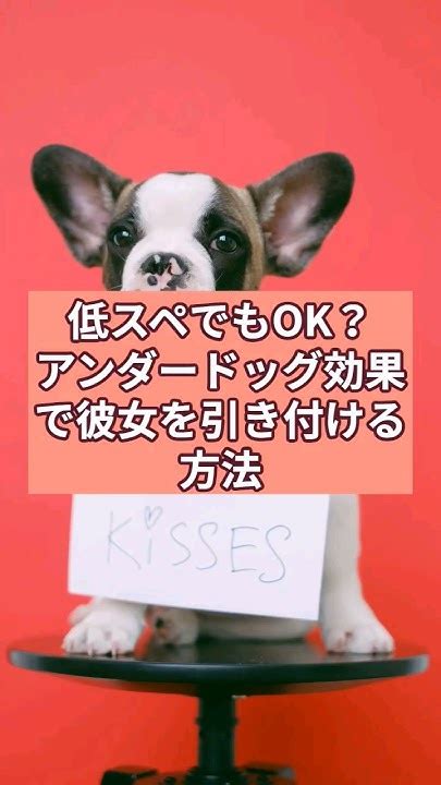 低スペでもok？アンダードッグ効果で彼女を引き付ける方法 恋愛の法則 モテる 恋愛心理学 恋愛雑学 雑学 Shorts Youtube