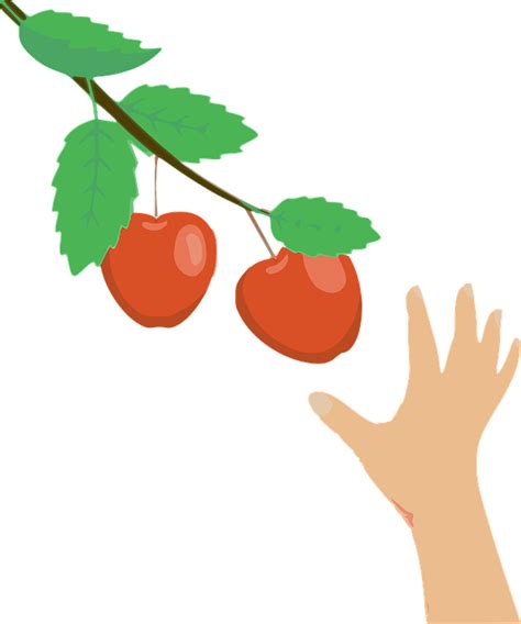 Apples Branch Hand Free Vector Graphic On Pixabay