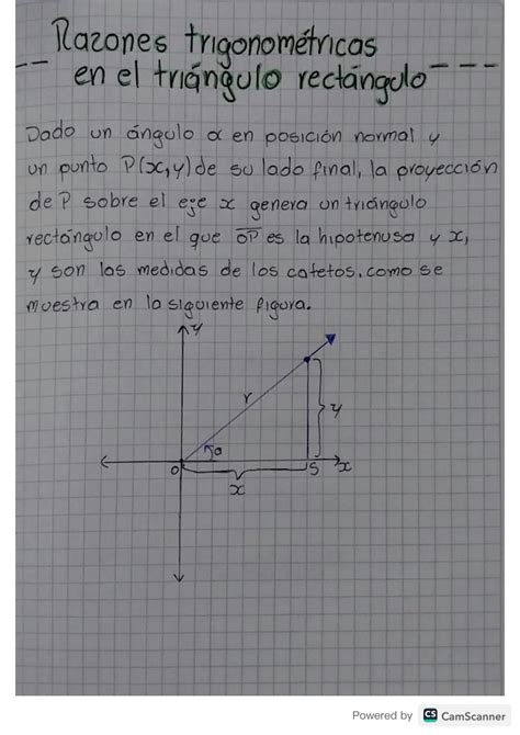 Solution Razones Trigonom Tricas En El Tri Ngulo Rect Ngulo Studypool