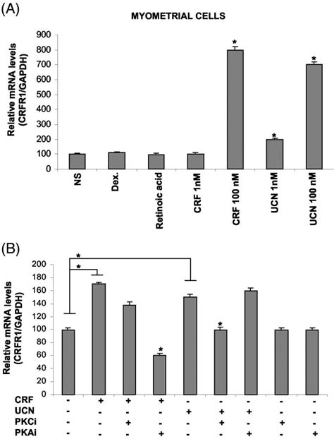 Transcriptional Regulation Of The Crfr Gene In Myometrial Cells A