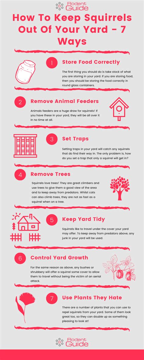 How To Keep Squirrels Out Of Your Yard 7 Ways Diy Rodent Removal