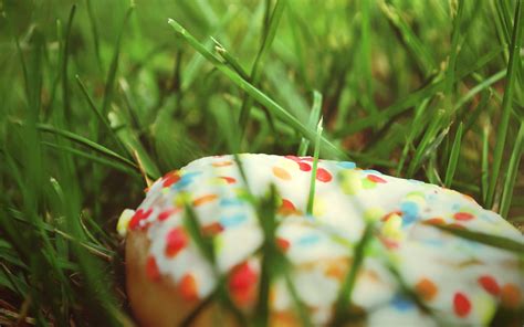 Fondos de pantalla comida naturaleza césped verde rosquilla hoja