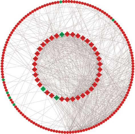 The Protein Protein Interaction Network And Hub Genes The Small Circle