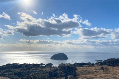 奇跡の復活を遂げた島「海士町」 〜その舞台裏から、未来へ｜amaホールディングス株式会社