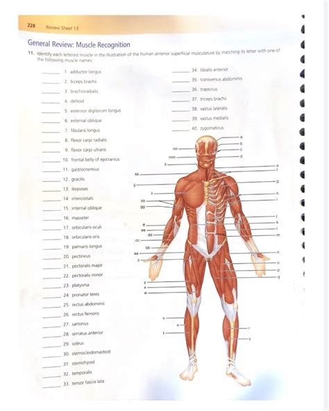 Muscle Practice Question Anatomy Openstax