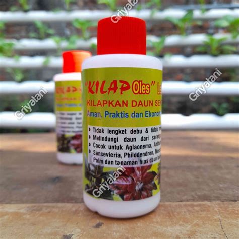 Jual Pengkilap Daun KILAP Leafshine 100 ML Shopee Indonesia