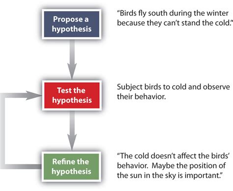 31 Can You Spot The Scientific Method Worksheet Answers Support Worksheet