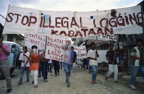 Demonstrations Against Illegal Logging And Deforestation After Flash