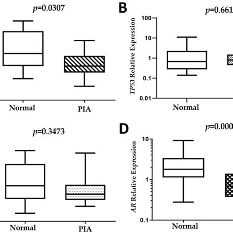 Evaluation Of Pten Tp Mdm And Ar Gene Expression In Normal