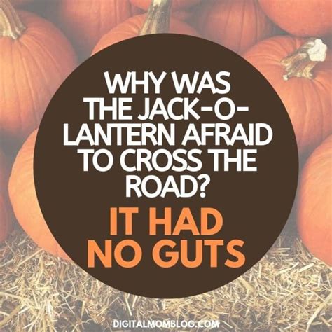 25 Funny Pumpkin Memes Puns And Jokes For Sharing