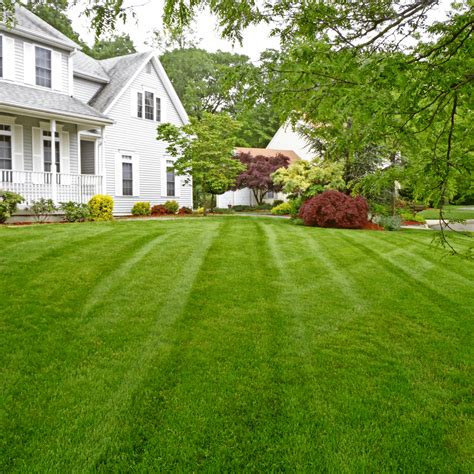 Oak Tree Landscaping - Your Outdoor Paradise In Howard County Is Just A ...