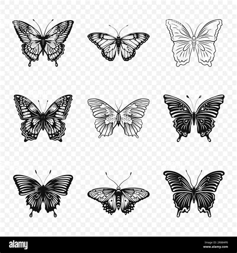 Vector Monochrome Black And White Hand Drawn Butterfly Icon Set Isolated On White Background