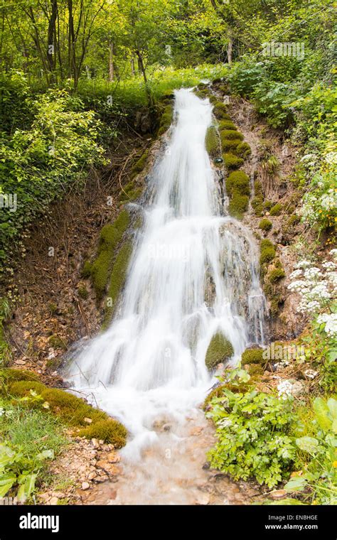 Small waterfall and stream in green forest Stock Photo - Alamy