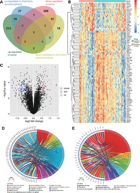 Figure 1 From Development Of An Eight Gene Prognostic Model For Overall