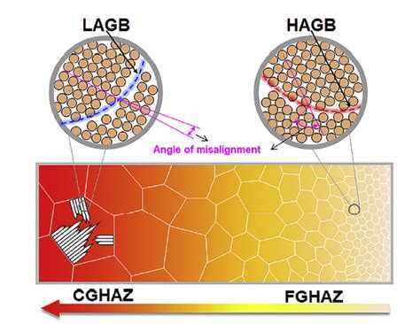 On The Heterogeneous Microstructure Development In The Welded Joint Of