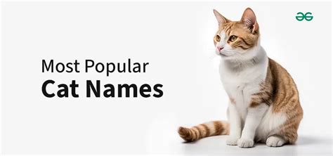 Popular Gender Neutral Names Geeksforgeeks