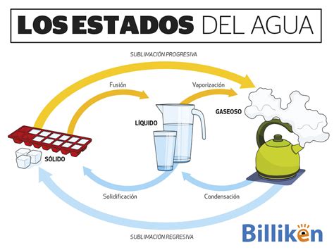 Los Estados Del Agua Todo Lo Que Necesitás Saber Y Una Infografía Para Descargar Billiken