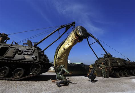 The Discovery of the Largest Giant Anaconda Ever Found in the Amazon – Archaeology 24