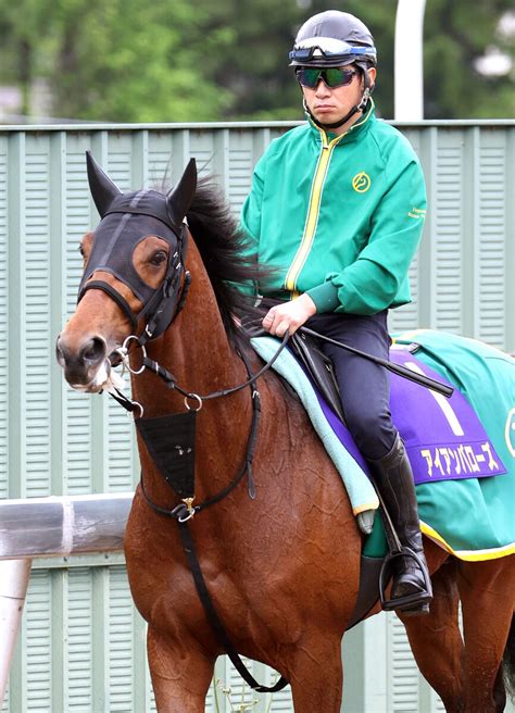 【注目馬動向】天皇賞・春5着アイアンバローズ 宝塚記念に挑戦 上村調教師「距離は大丈夫」 Umatoku 馬トク