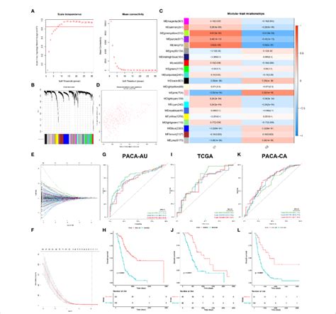 Establishment And Validation Of Senescence Based Prognostic Signature