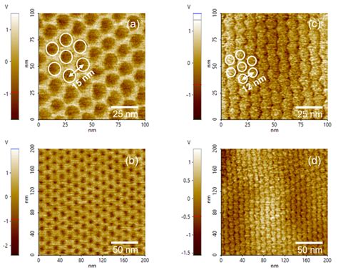 2D Moiré Superlattice Electromechanical Characterization with Piezo