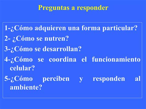 Tema 1 Introduccion A La Fisiologia Vegetal PPT Descarga Gratuita