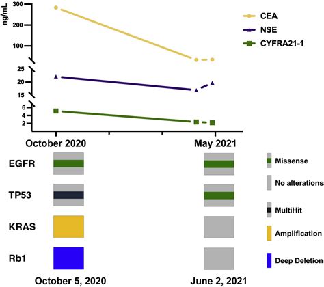 Response To Icotinib Plus Chemotherapy In Pulmonary Atypical Carcinoid