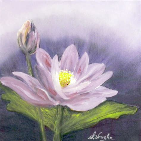 Lotus National Flower Of Malawi Painting By Sidney Vaughn Fine Art