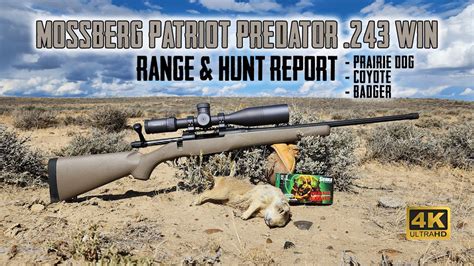 Mossberg Patriot Predator 243 Win Full Overview Range Test With