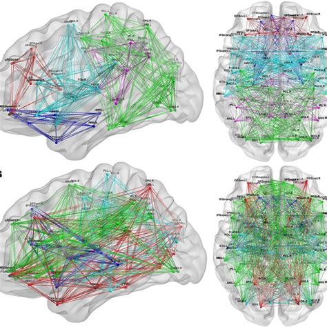 Modules Of The Functional Brain Networks In Each Group A Modules Of