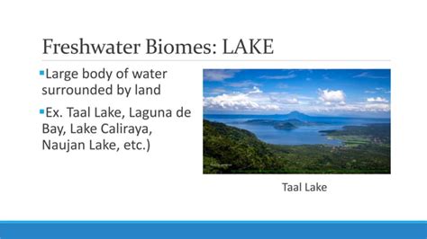 Unit 5 Lesson 55 Major Ecosystems And Resources In The Philippines