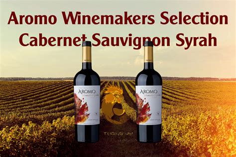 Rượu Vang Đỏ Chile Aromo Winemakers Selection Cabernet Sauvignon Syrah