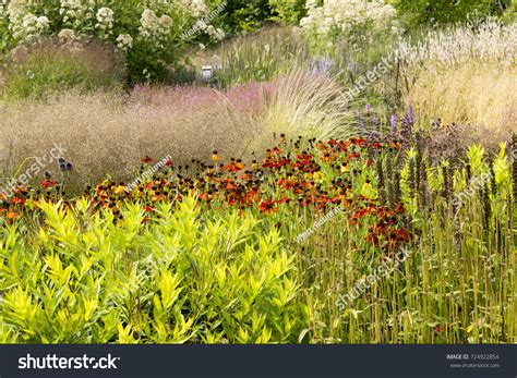 Border Perennials Ornamental Grasses Made By Stock Photo 724922854 ...