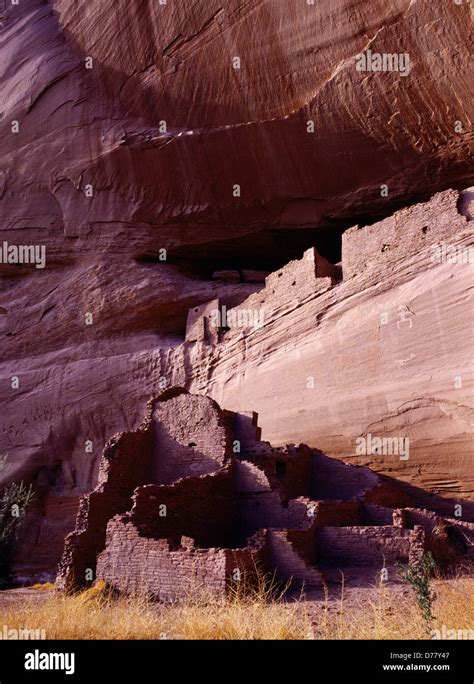 Mummy Cave Ruin Ancestral Pueblo Dwelling In Canyon Del Muerto Canyon