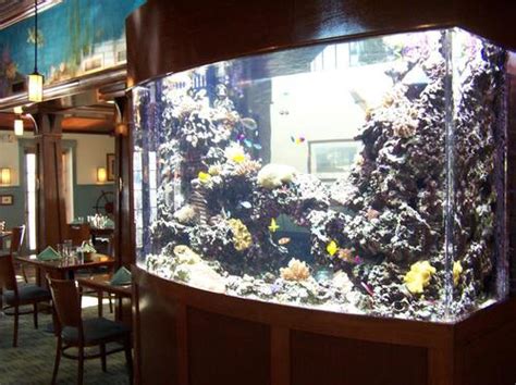 Custom Wave Aquariums By SeaQuatic Aquariums