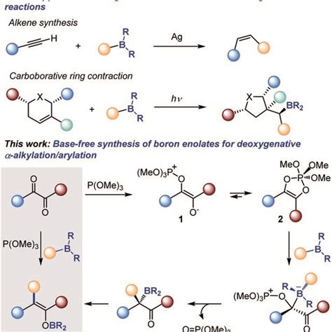 Boron enolates and the deoxygenative α alkylation arylation of