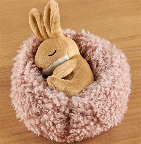 Hibernating Bunny Jellycat Jelly Cat Hobbies Toys Toys Games On