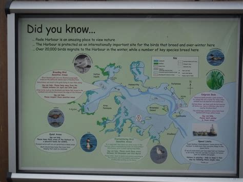 F5041 Poole Harbour Nature Signage Shaun Mahoney Flickr