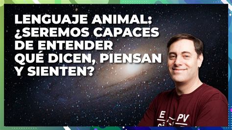 Qué opina tu perro sobre la vida Descifrando los secretos del