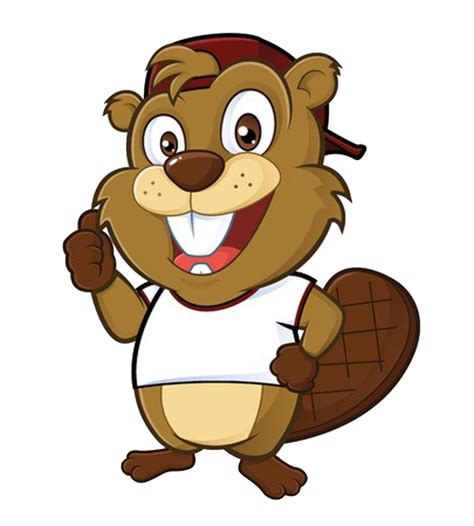 Beaver Transparent Picture Transparent HQ PNG Download | FreePNGImg