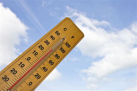 cold hard business lessons   girl scout video